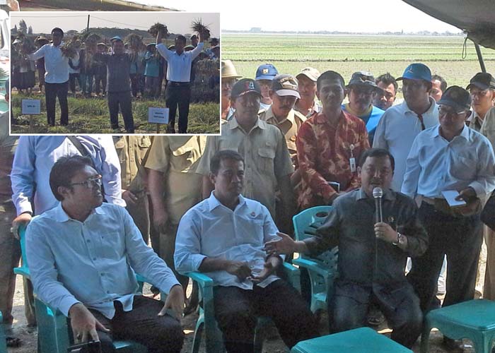 DPR Apresiasi  Langkah Mentan, Indonesia Tak Butuh Impor Bawang
